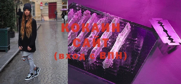 соль ск Вяземский