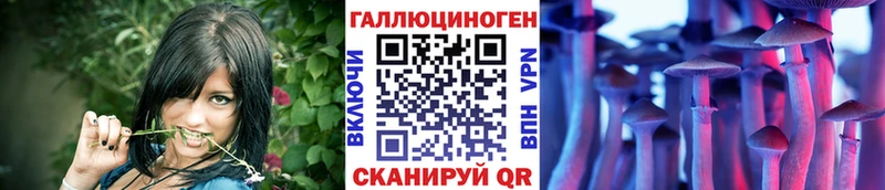 Псилоцибиновые грибы Magic Shrooms  Заволжье 